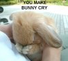 bunnycry.jpg