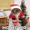 HOHOHO-merry-christmas-Cat.gif