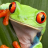 frog_